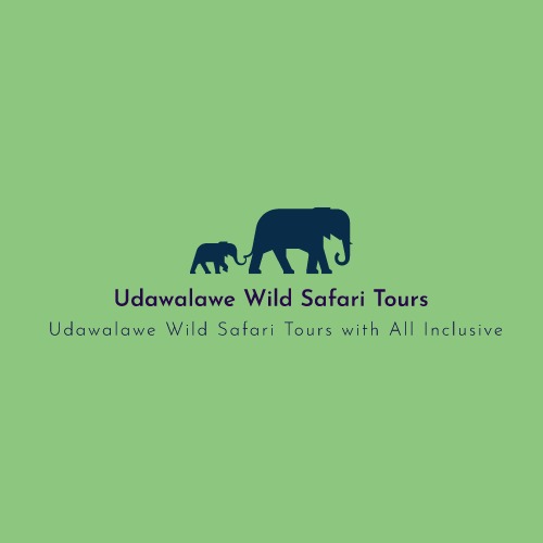 Udawalawe Wild Safari Tours