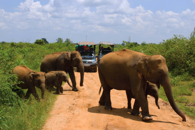 Sri Lanka Safari Tours, jeep safari udawalawe, Udawalawe National Park Safari